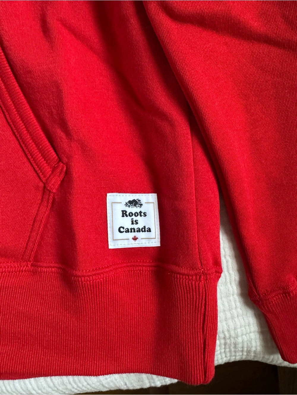 ROOTS Cooper Canada Kanga Hoodie in Sage Red (Unisex) - Picture 4 of 8